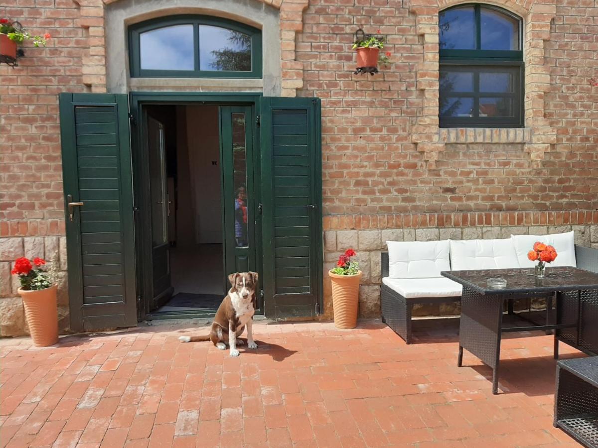 Natura Panzio&Apartmanhaz Orfű Zewnętrze zdjęcie